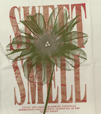 TSHIRT DONNA M/M FIORE/EP Tellini S.R.L. Veleprodajna odjeća